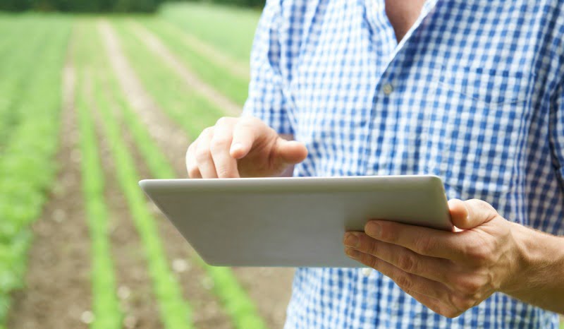 internet das coisas na agricultura