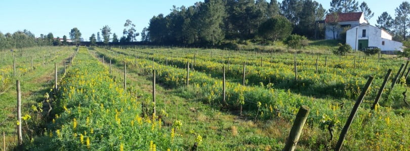 quinta da Serradilha