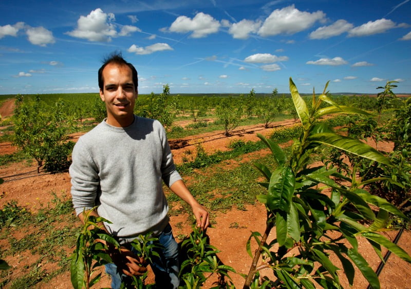 João Serrano, da Fairfruit, produz pêssegos, nectarinas e alperces
