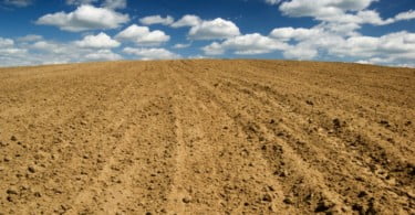A salinidade dos solos: extensão, prevenção e recuperação
