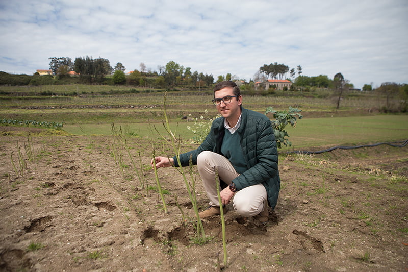 Rui Pinto, diretor da Cooperativa Agrícola de Felgueiras 