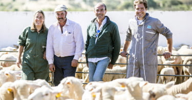Pequenos Ruminantes veterinária Ana Simões Vida Rural