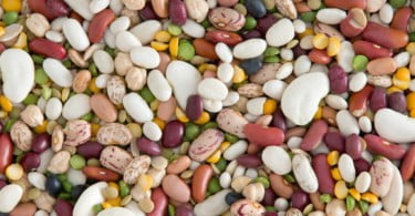 Dicas nutricionais para produtores de leguminosas