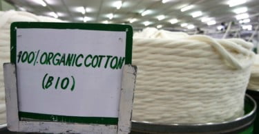 C&A já é o maior utilizador de algodão biológico do mundo