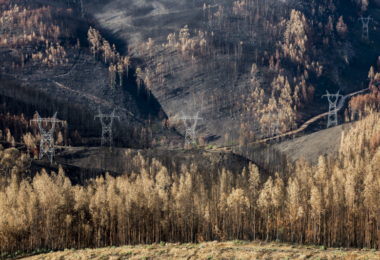UE: Incêndios em Portugal e Espanha representaram quase metade da área ardida em 2025