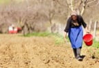 Alterações climáticas podem ampliar desigualdades para mulheres rurais