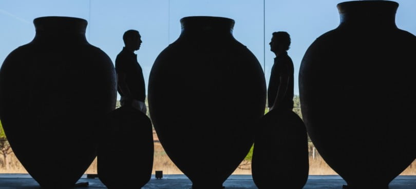 O vinho de talha está de volta!