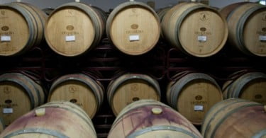 Ervideira cresce 15% em 2017 e aposta em vinhos biológicos