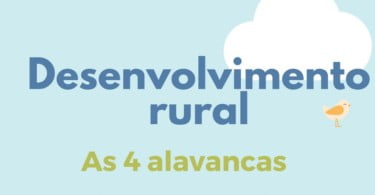 Sabe quais são as 4 alavancas do desenvolvimento rural?