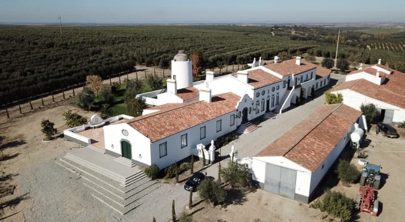 Herdade Maria da Guarda investe 5 M€ na plantação de 120 mil oliveiras