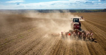 Brexit: Governo britânico vai beneficiar agricultores ‘amigos do ambiente’