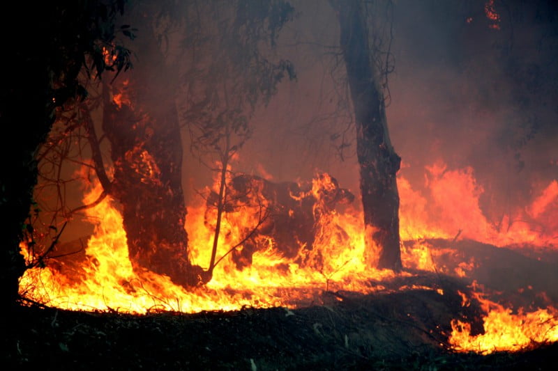 Governo divulga lista dos agricultores afetados pelos incêndios