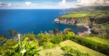 Governo dos Açores quer reforço dos fundos para a agricultura no próximo quadro comunitário