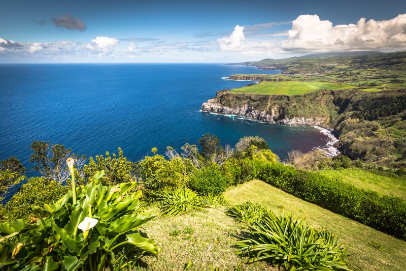 Governo dos Açores quer reforço dos fundos para a agricultura no próximo quadro comunitário