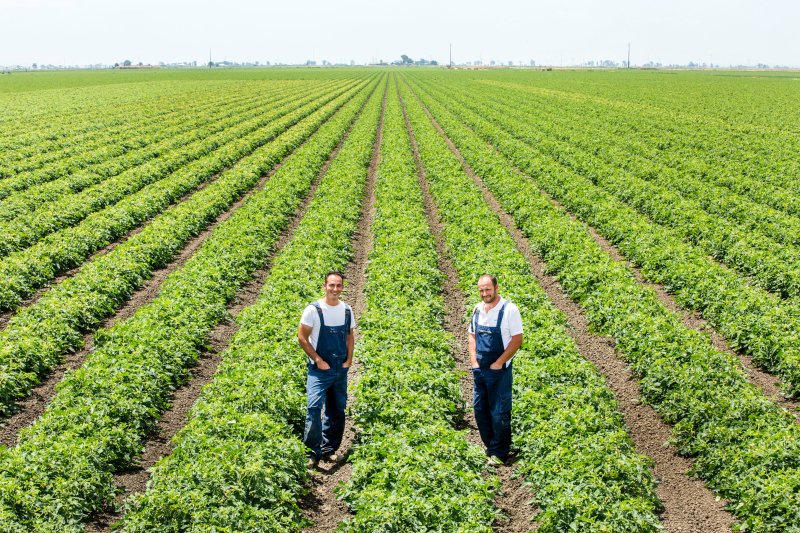 Neli e André Silva - tomate de indústria