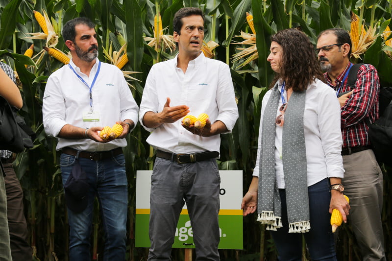Syngenta apresenta novas soluções na Agroglobal