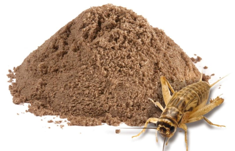 farinha de insetos nutrix