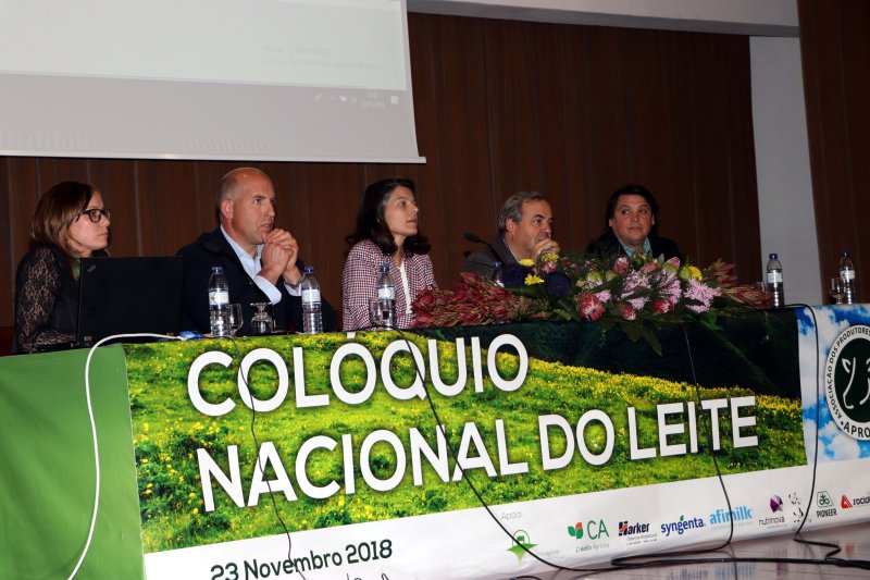Produtores de leite reclamam “preço justo” e rejuvenescimento do setor