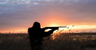 UE pede o fim do chumbo nas munições de caça