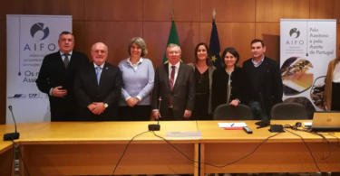 Interprofissional do Azeite de Portugal quer acordo sectorial em 2019
