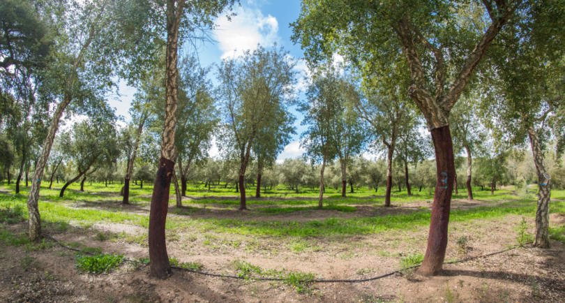 Estas foram as notícias mais lidas em 2018