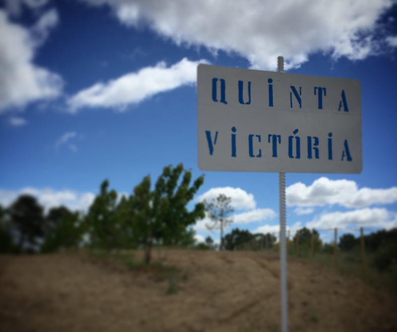 Quinta Victória Vida Rural