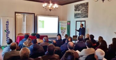 Syngenta apresenta resultados da estratégia de proteção fitossanitária na região dos Vinhos Verdes