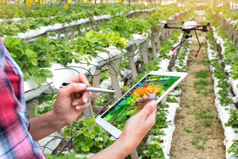 Digitalização da agricultura com potencial para criar novos postos de trabalho