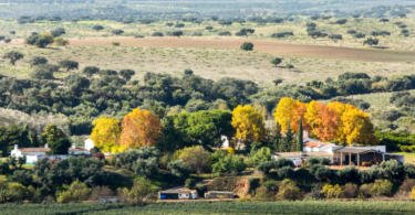 Herdade Monte da Ribeira Vida Rural