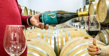 Herdade Monte da Ribeira Vida Rural