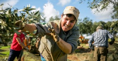 Herdade Monte da Ribeira Vida Rural