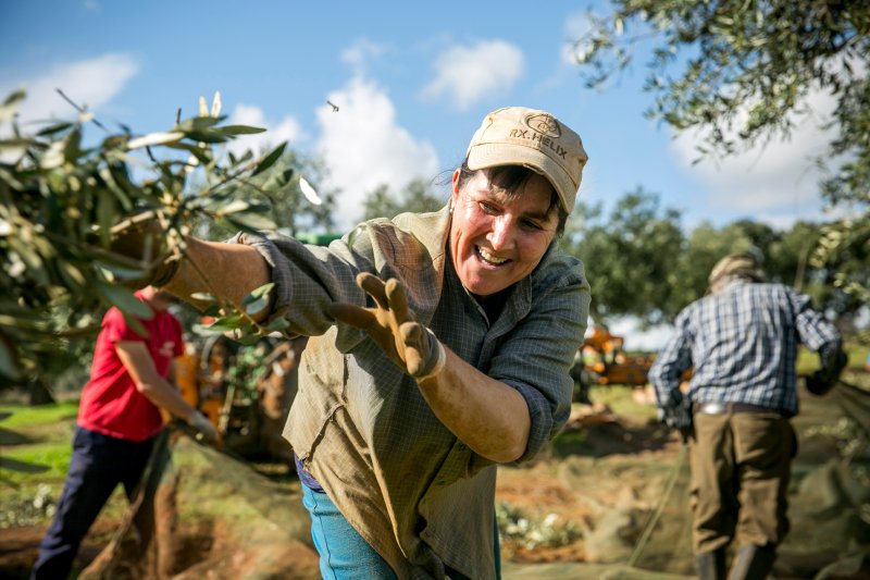 A nova vida da Herdade Monte da Ribeira