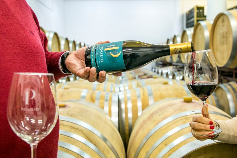 Herdade Monte da Ribeira Vida Rural