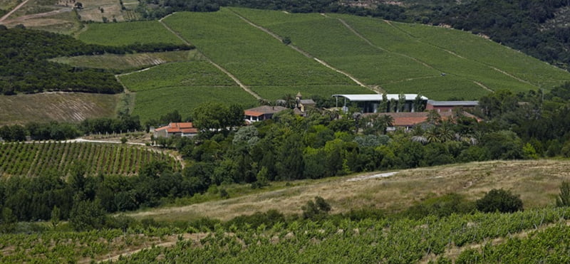 Sogrape anuncia aquisição da Quinta da Romeira