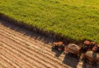 Ministério da Agricultura: 2018 foi “francamente positivo para o complexo agroflorestal português”