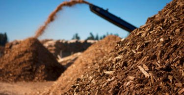 Governo tem incentivo de 320 M€ para criação de centrais de biomassa