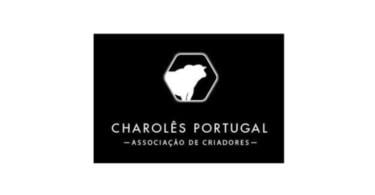 Carne de Charolês chega ao mercado