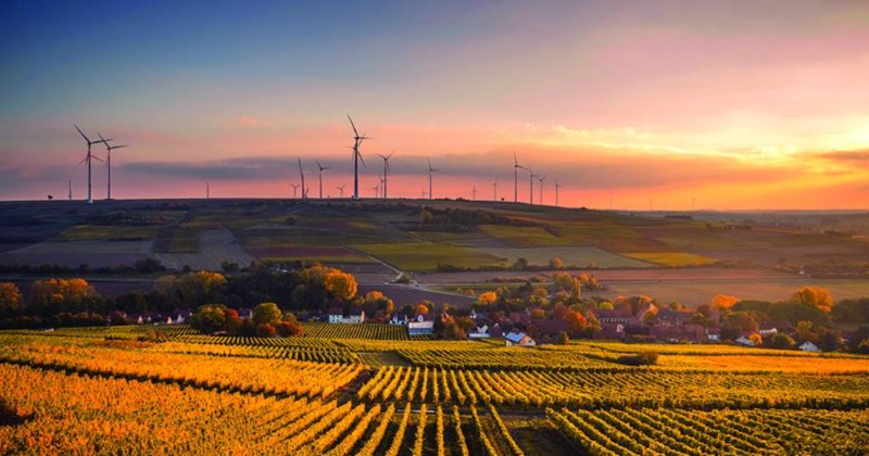 Projeto de crowdfunding quer promover a agricultura biológica
