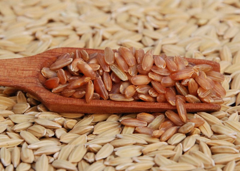 Brasil desenvolve arroz vermelho e preto com maior atividade antioxidante