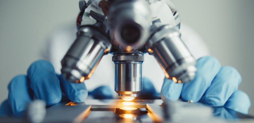 ‘Agricultura do futuro’ poderá produzir alimentos com base na tecnologia RNAi