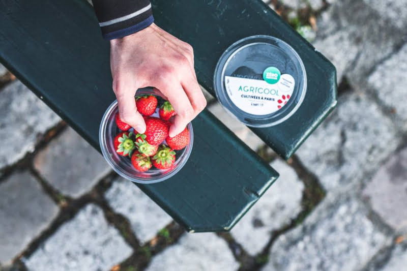 Agricool: empresa francesa usa contentores de mercadorias para cultivar morangos no centro de Paris