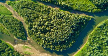 Primeiro-ministro pede “mobilização nacional” para uma floresta mais segura