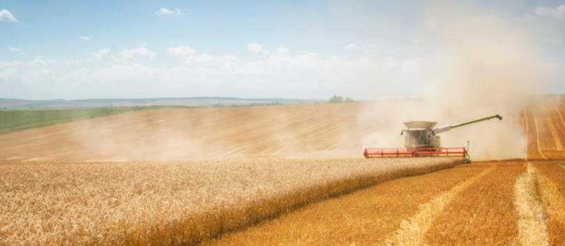 Governo abre concursos de 17,5 M€ em apoios ao investimento agrícola