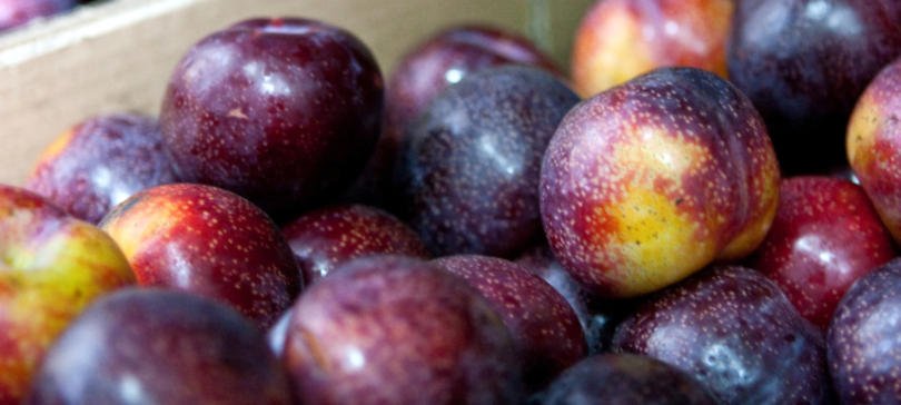 Fruta nacional já pode ser exportada para a Colômbia