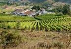 Quinta de S