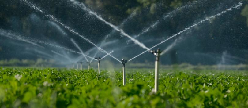 Projeto da FAO quer aproveitar águas residuais tratadas para a agricultura