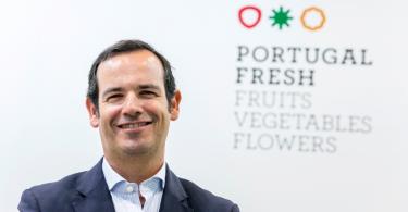 Portugal exporta mais hortofrutícolas em 2019