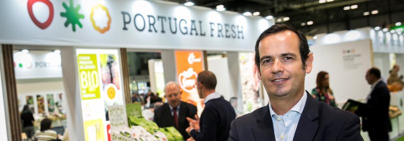Portugal exporta mais hortofrutícolas em 2019