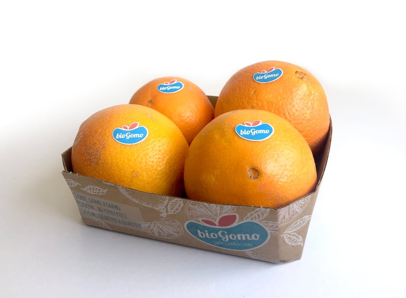 Frusoal quer exportar laranja biológica para a Escandinávia