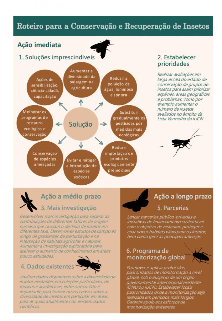 infografia insetos